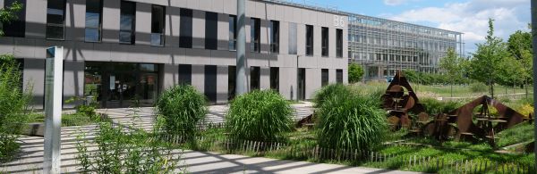 Cérémonie de remise de diplômes des Masters